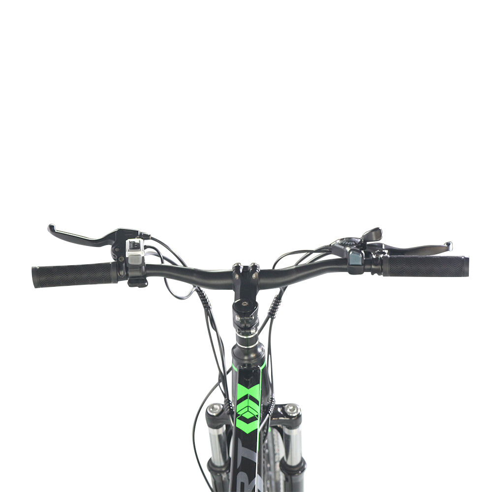 City EBike Electric Mountain Bike (250W)